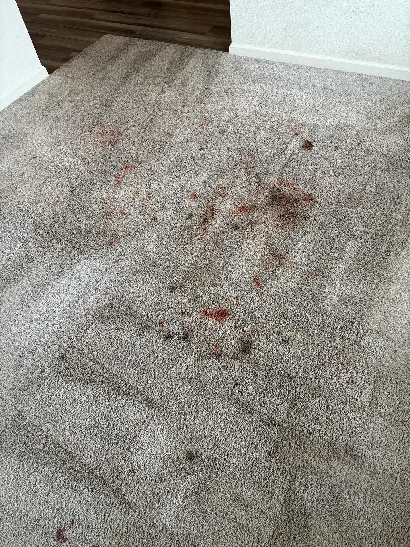 Before cleaning carpet with heavy marks